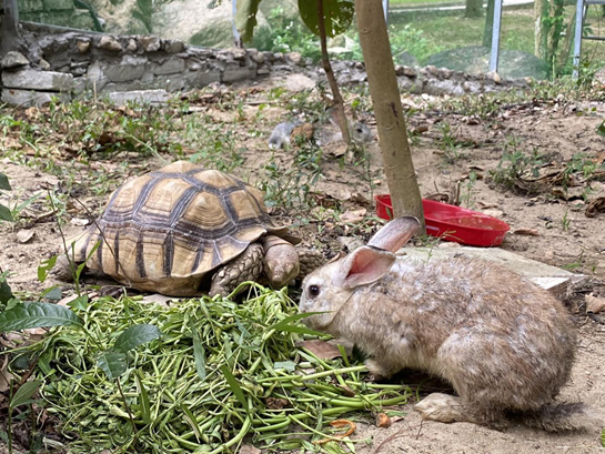 Tiêu đề khám phá 8